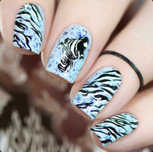 Load image into Gallery viewer, Everything CJS Stamping....Layering and More! - At FunFancy Nails Retreat, Groton, Massachusetts