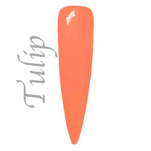 Tulip - Fairy Garden Collection - 15ml